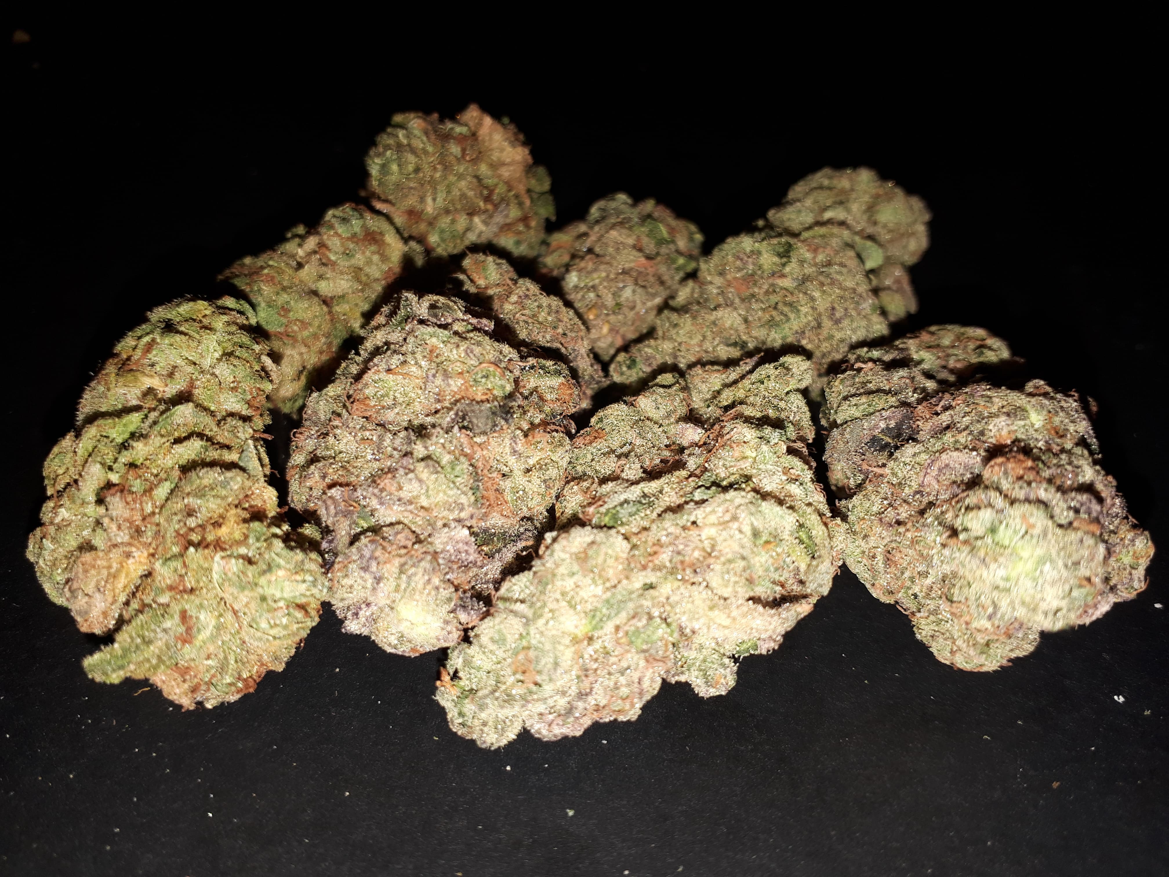 image of Medic Cannabis Dispensary's Hybrid cannabis weed flower products-Hybrid cannabis weed flower products delivered in Halifax-Dartmouth Regional Municipality, NS by Medic Cannabis Dispensary based in the Halifax-Dartmouth Regional Municipality covering / delivering to all of the Halifax-Dartmouth Regional Municipality, Timberlea, Hammonds Plains, Bedford, Sackville, Spryfield, Herring Cove, Sambro, Harrietsfield, Cole Harbour, Eastern Passage & surrounding areas.