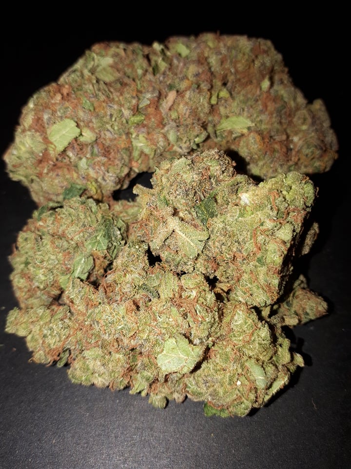 image of Medic Cannabis Dispensary's Hybrid cannabis weed flower products-Hybrid cannabis weed flower products delivered in Halifax-Dartmouth Regional Municipality, NS by Medic Cannabis Dispensary based in the Halifax-Dartmouth Regional Municipality covering / delivering to all of the Halifax-Dartmouth Regional Municipality, Timberlea, Hammonds Plains, Bedford, Sackville, Spryfield, Herring Cove, Sambro, Harrietsfield, Cole Harbour, Eastern Passage & surrounding areas.