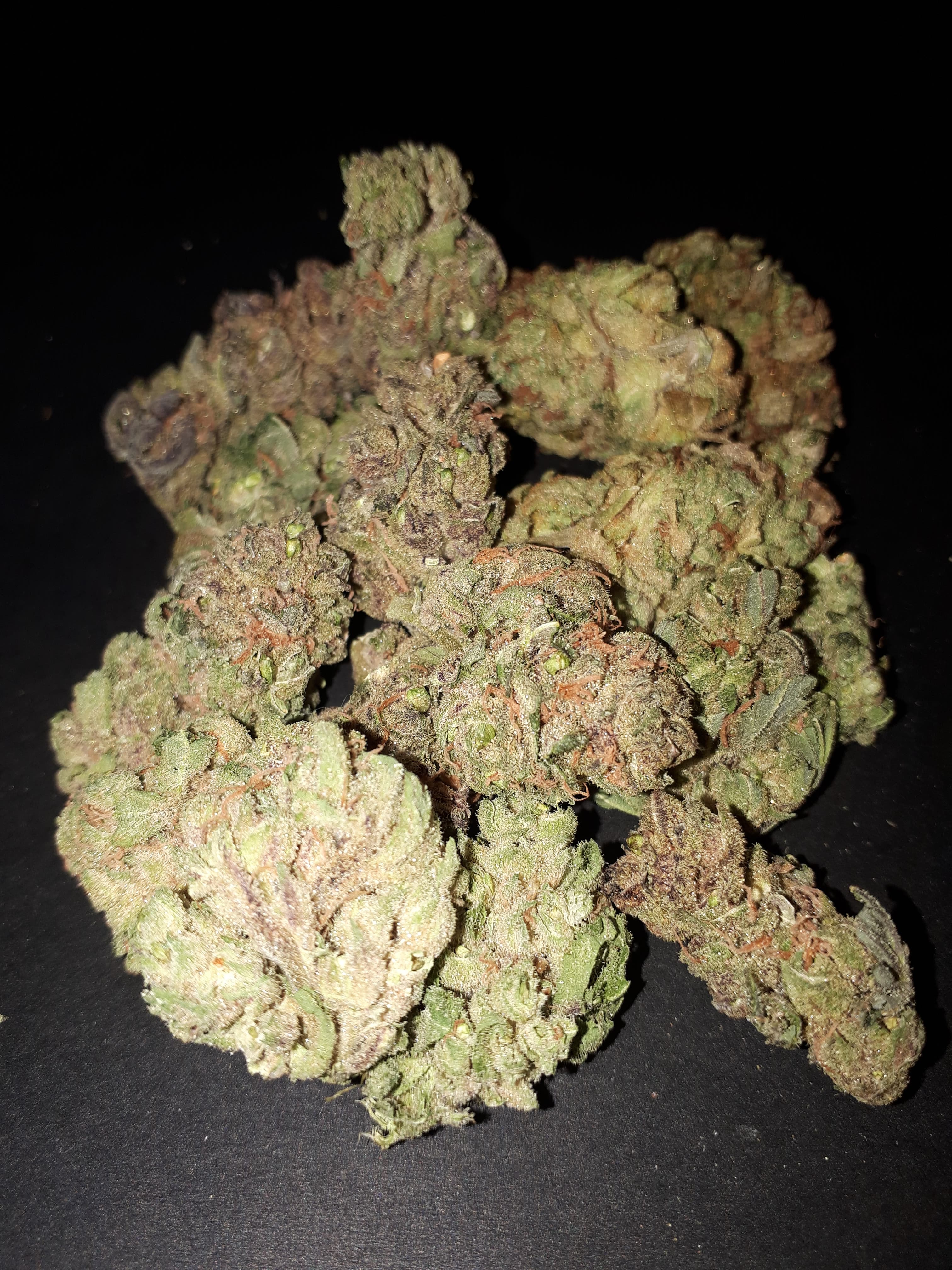 image of Hybrid cannabis weed flower products-Hybrid cannabis weed flower products delivered in Halifax-Dartmouth Regional Municipality, NS by Medic Cannabis Dispensary based in the Halifax-Dartmouth Regional Municipality covering / delivering to all of the Halifax-Dartmouth Regional Municipality, Timberlea, Hammonds Plains, Bedford, Sackville, Spryfield, Herring Cove, Sambro, Harrietsfield, Cole Harbour, Eastern Passage & surrounding areas.