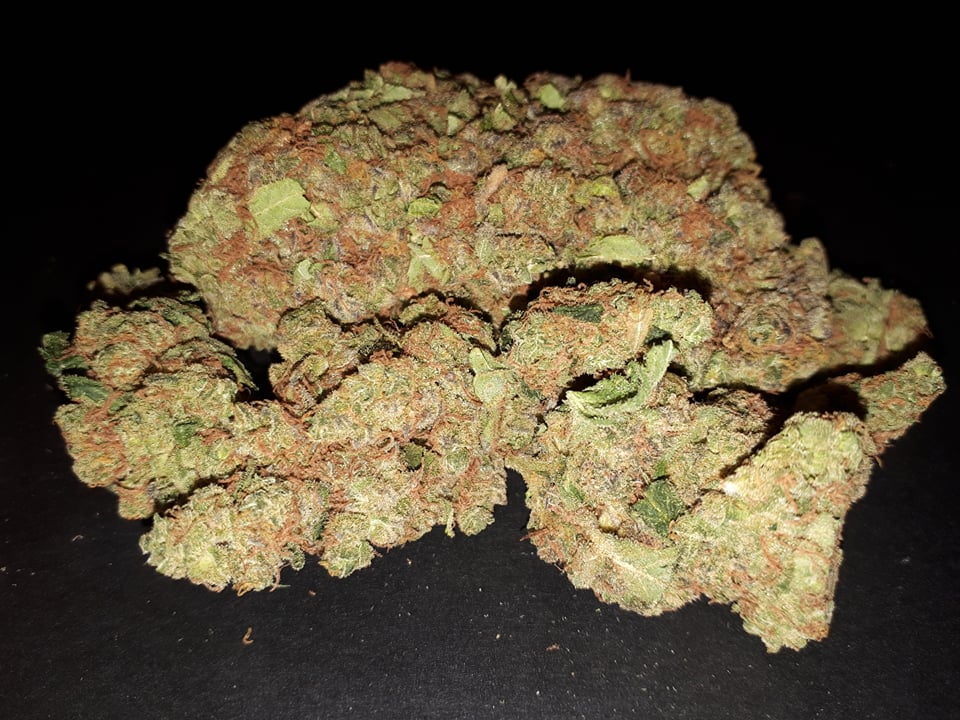 image of Medic Cannabis Dispensary's cannabis indica, hybrid & sativa-cannabis indica, hybrid & sativa weed products delivered in Halifax-Dartmouth Regional Municipality, NS by Medic Cannabis Dispensary based in the Halifax-Dartmouth Regional Municipality covering / delivering to all of the Halifax-Dartmouth Regional Municipality, Timberlea, Hammonds Plains, Bedford, Sackville, Spryfield, Herring Cove, Sambro, Harrietsfield, Cole Harbour, Eastern Passage & surrounding areas.