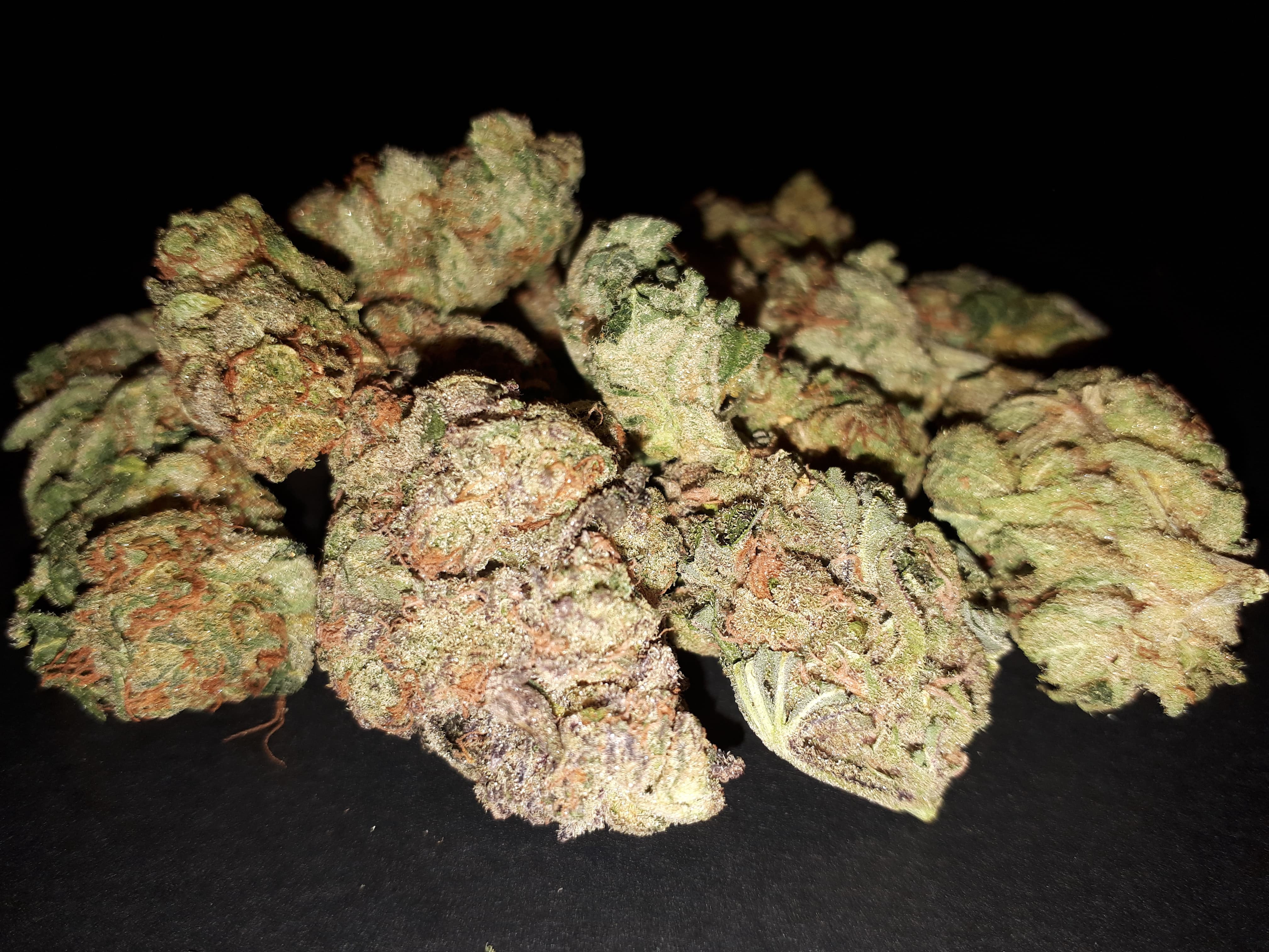 image of Medic Cannabis Dispensary's cannabis indica, hybrid & sativa-cannabis indica, hybrid & sativa weed products delivered in Halifax-Dartmouth Regional Municipality, NS by Medic Cannabis Dispensary based in the Halifax-Dartmouth Regional Municipality covering / delivering to all of the Halifax-Dartmouth Regional Municipality, Timberlea, Hammonds Plains, Bedford, Sackville, Spryfield, Herring Cove, Sambro, Harrietsfield, Cole Harbour, Eastern Passage & surrounding areas.