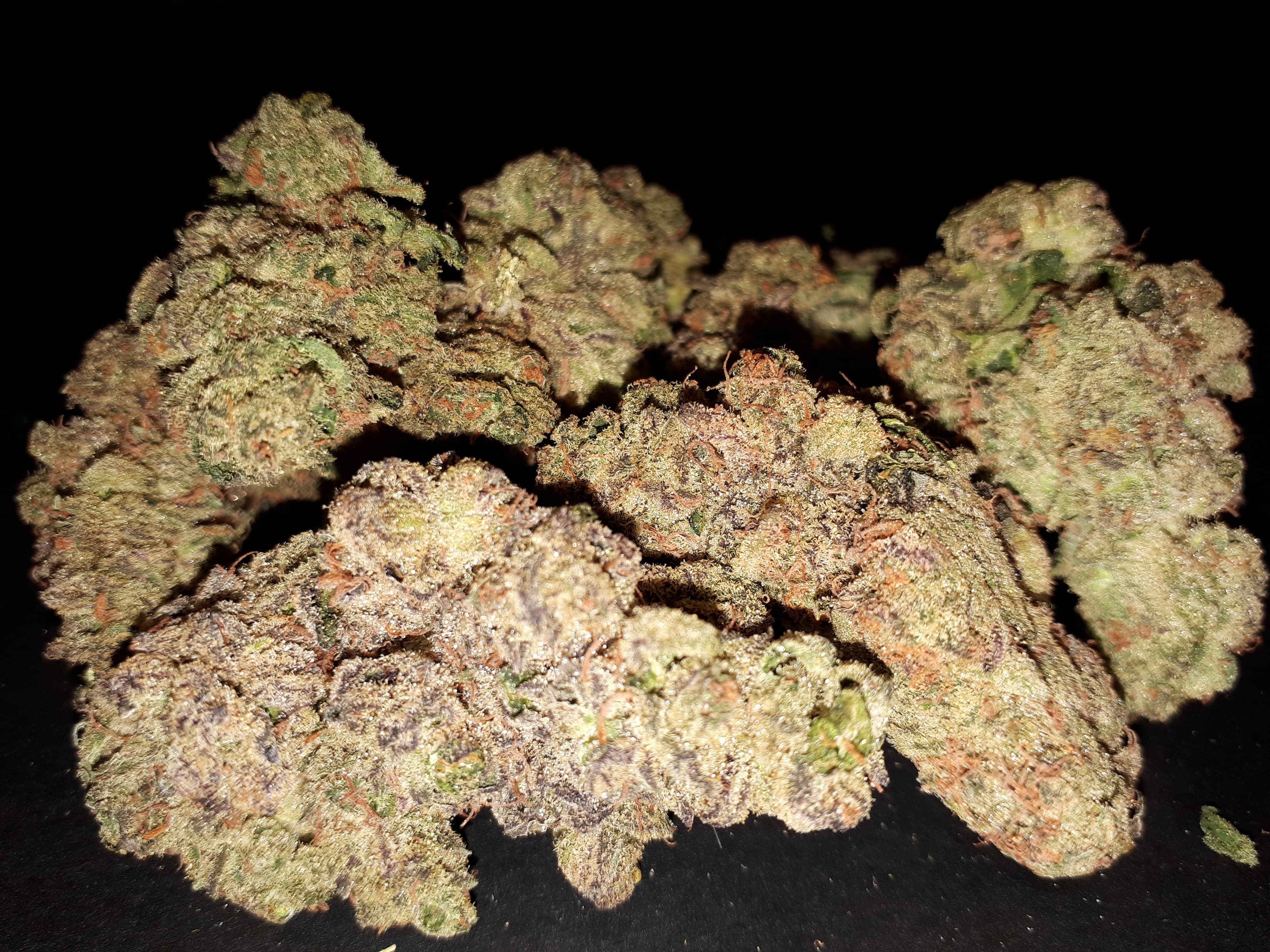 image of Medic Cannabis Dispensary's cannabis indica, hybrid & sativa-cannabis indica, hybrid & sativa weed products delivered in Halifax-Dartmouth Regional Municipality, NS by Medic Cannabis Dispensary based in the Halifax-Dartmouth Regional Municipality covering / delivering to all of the Halifax-Dartmouth Regional Municipality, Timberlea, Hammonds Plains, Bedford, Sackville, Spryfield, Herring Cove, Sambro, Harrietsfield, Cole Harbour, Eastern Passage & surrounding areas.