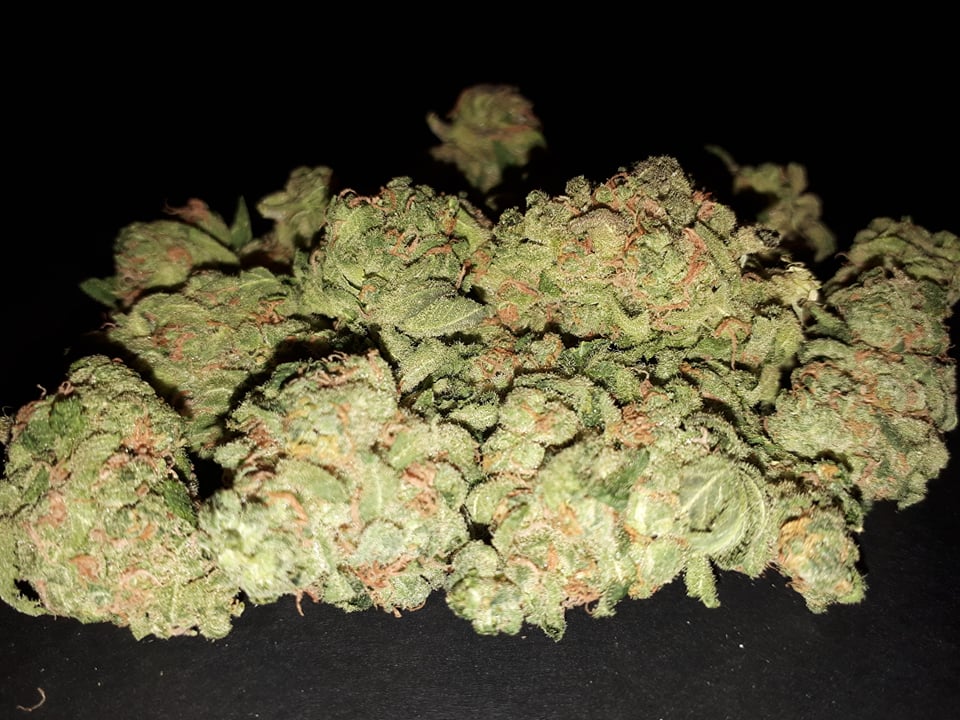 image of Medic Cannabis Dispensary's cannabis indica, hybrid & sativa-cannabis indica, hybrid & sativa weed products delivered in Halifax-Dartmouth Regional Municipality, NS by Medic Cannabis Dispensary based in the Halifax-Dartmouth Regional Municipality covering / delivering to all of the Halifax-Dartmouth Regional Municipality, Timberlea, Hammonds Plains, Bedford, Sackville, Spryfield, Herring Cove, Sambro, Harrietsfield, Cole Harbour, Eastern Passage & surrounding areas.