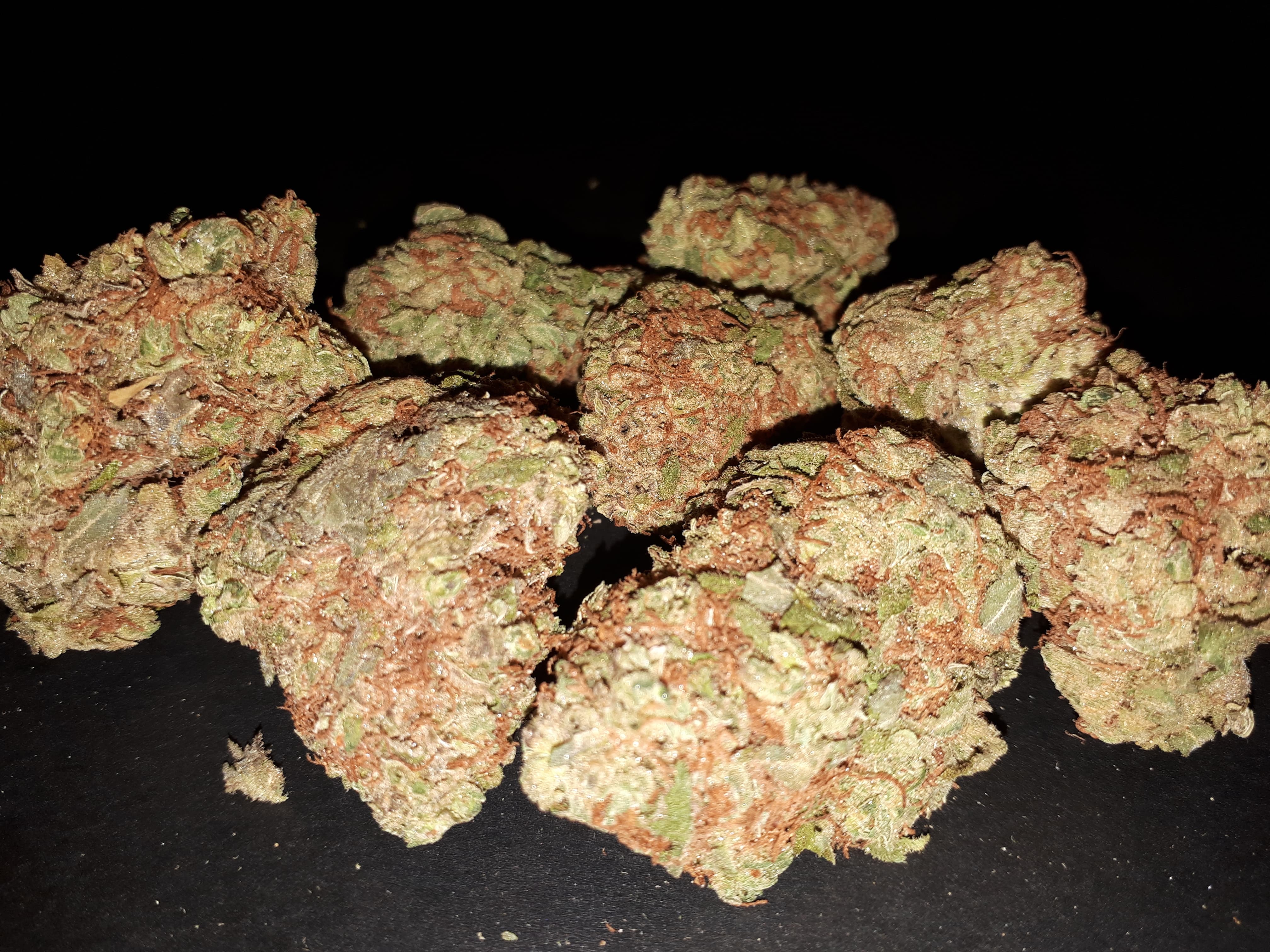 image of Medic Cannabis Dispensary's cannabis indica, hybrid & sativa-cannabis indica, hybrid & sativa weed products delivered in Halifax-Dartmouth Regional Municipality, NS by Medic Cannabis Dispensary based in the Halifax-Dartmouth Regional Municipality covering / delivering to all of the Halifax-Dartmouth Regional Municipality, Timberlea, Hammonds Plains, Bedford, Sackville, Spryfield, Herring Cove, Sambro, Harrietsfield, Cole Harbour, Eastern Passage & surrounding areas.